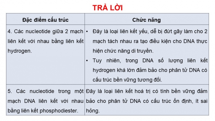 Giáo án điện tử Sinh học 12 kết nối Bài 1: DNA và cơ chế tái bản DNA