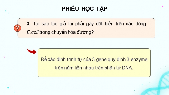 Giáo án điện tử Sinh học 12 kết nối Bài 3: Điều hoà biểu hiện gene