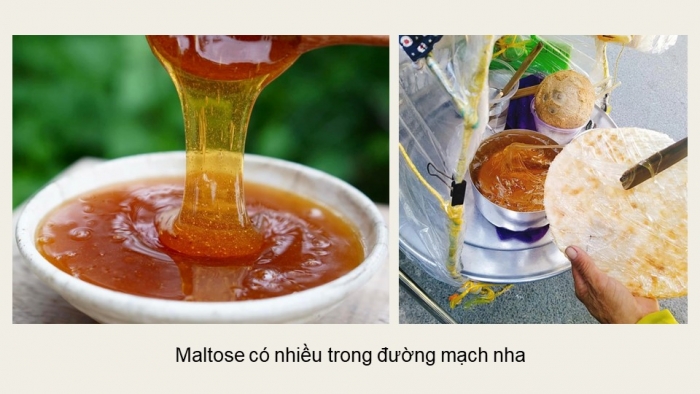 Giáo án điện tử Hoá học 12 chân trời Bài 4: Saccharose và maltose