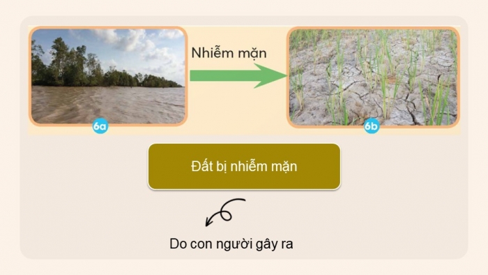 Giáo án điện tử Khoa học 5 chân trời Bài 2: Ô nhiễm, xói mòn đất và bảo vệ môi trường đất