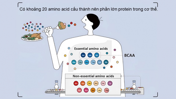 Giáo án và PPT đồng bộ Hoá học 12 cánh diều