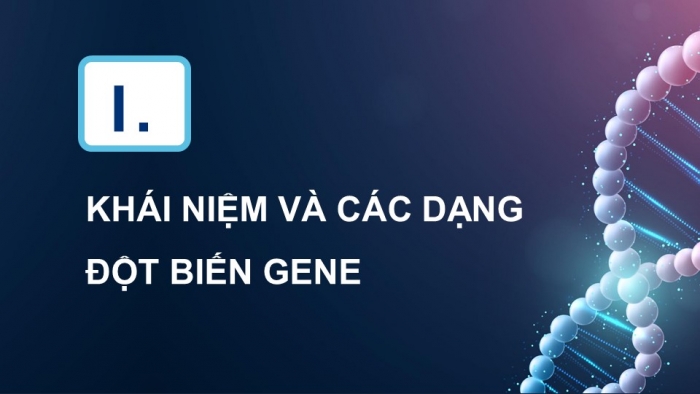 Giáo án và PPT đồng bộ Sinh học 12 cánh diều