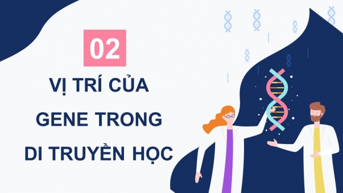 Giáo án và PPT đồng bộ Sinh học 9 chân trời sáng tạo