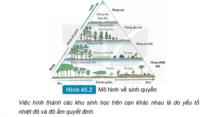 Giáo án và PPT đồng bộ Khoa học tự nhiên 8 kết nối tri thức