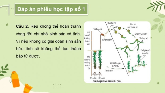 Giáo án và PPT đồng bộ Sinh học 11 cánh diều