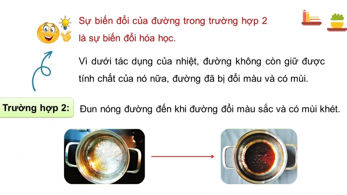 Giáo án và PPT đồng bộ Khoa học 5 cánh diều