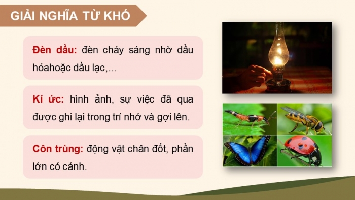 Giáo án điện tử Tiếng Việt 5 chân trời Bài 1: Chiều dưới chân núi