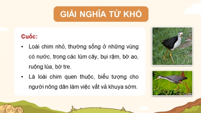 Giáo án điện tử Tiếng Việt 5 chân trời Bài 7: Chớm thu