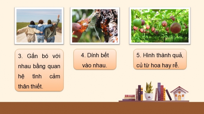 Giáo án điện tử Tiếng Việt 5 chân trời Bài 7: Sử dụng từ điển