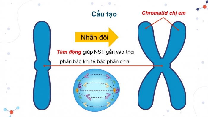 Giáo án và PPT đồng bộ Khoa học tự nhiên 9 kết nối tri thức