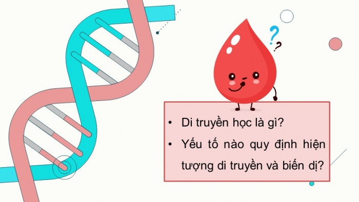 Giáo án và PPT đồng bộ Sinh học 9 kết nối tri thức