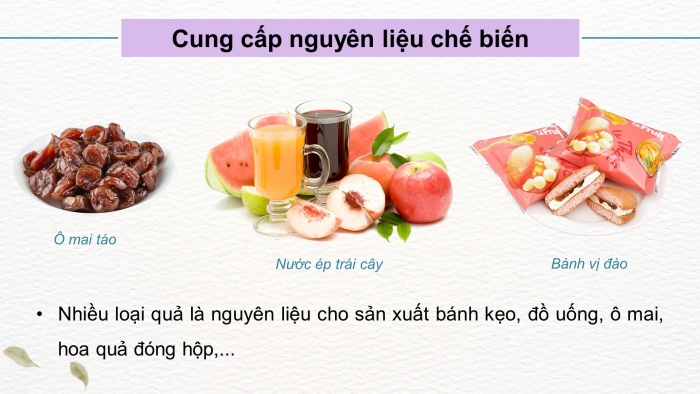 Giáo án điện tử Công nghệ 9 Trồng cây ăn quả Kết nối Bài 1: Giới thiệu chung về cây ăn quả