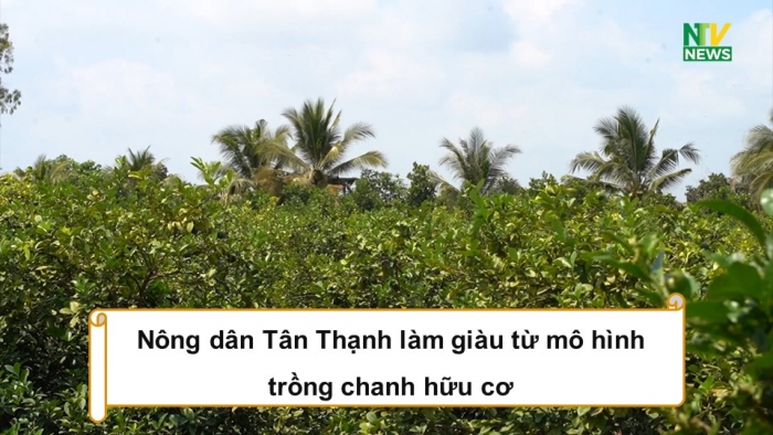 Giáo án điện tử Địa lí 9 kết nối Bài 6: Thực hành Viết báo cáo về một mô hình sản xuất nông nghiệp có hiệu quả