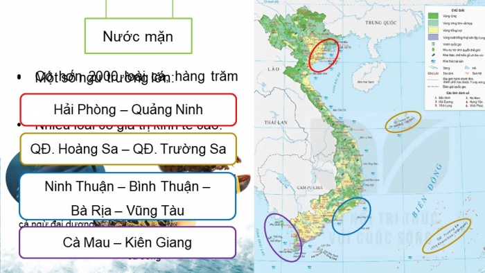 Giáo án điện tử Địa lí 9 kết nối Bài 5: Lâm nghiệp và thủy sản (bổ sung)