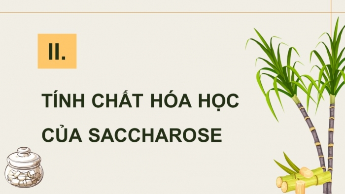 Giáo án điện tử Hoá học 12 kết nối Bài 5: Saccharose và maltose