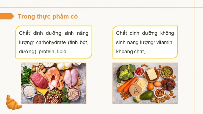 Giáo án điện tử Công nghệ 9 Chế biến thực phẩm Cánh diều Bài 1: Vai trò của các chất dinh dưỡng trong thực phẩm