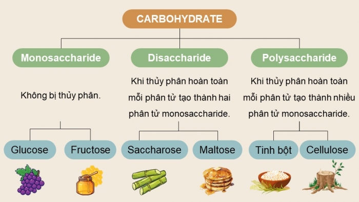 Giáo án điện tử Hoá học 12 kết nối Bài 4: Giới thiệu về carbohydrate. Glucose và fructose