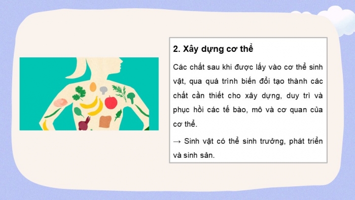 Giáo án và PPT đồng bộ Khoa học tự nhiên 7 cánh diều