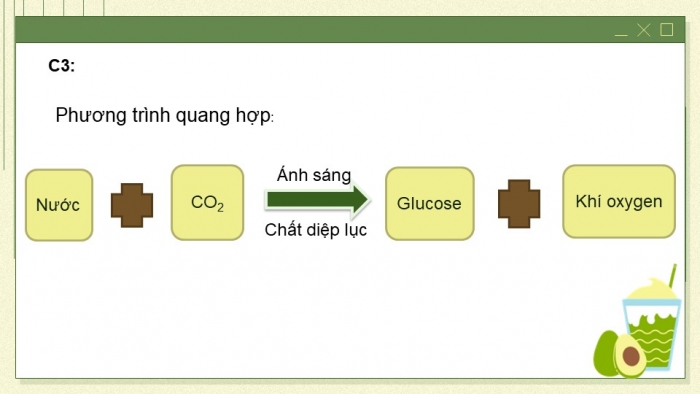 Giáo án và PPT đồng bộ Sinh học 7 chân trời sáng tạo