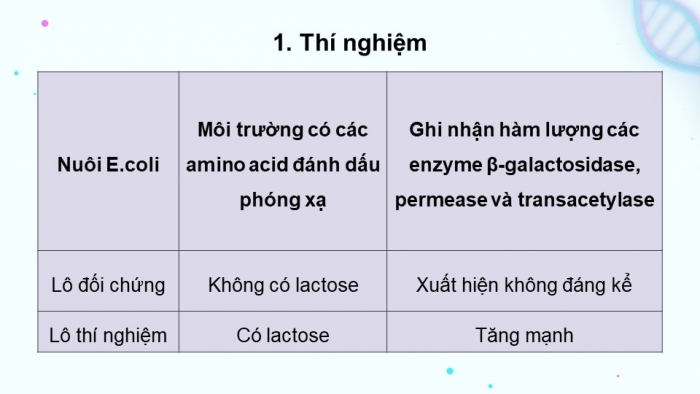 Giáo án điện tử Sinh học 12 kết nối Bài 3: Điều hoà biểu hiện gene