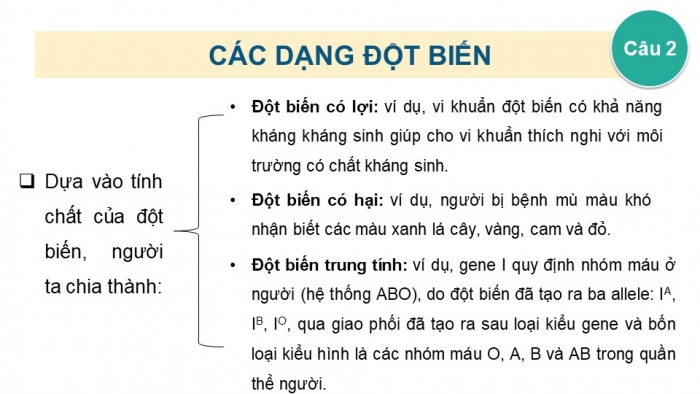 Giáo án điện tử Sinh học 12 kết nối Bài 4: Đột biến gene