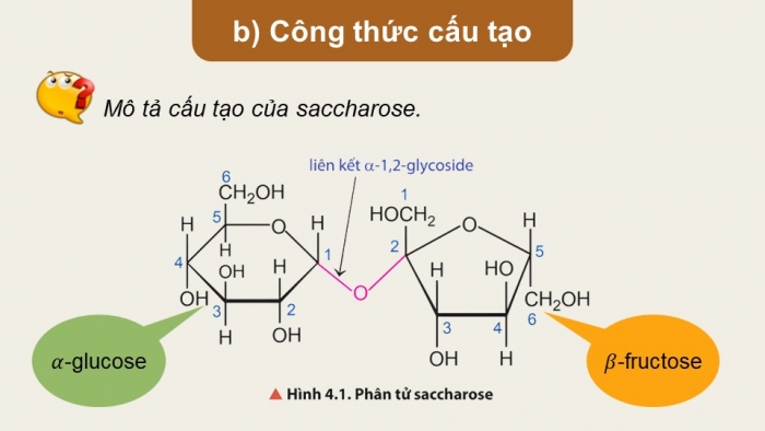 Giáo án điện tử Hoá học 12 chân trời Bài 4: Saccharose và maltose