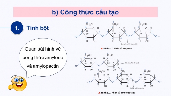 Giáo án điện tử Hoá học 12 chân trời Bài 5: Tinh bột và cellulose