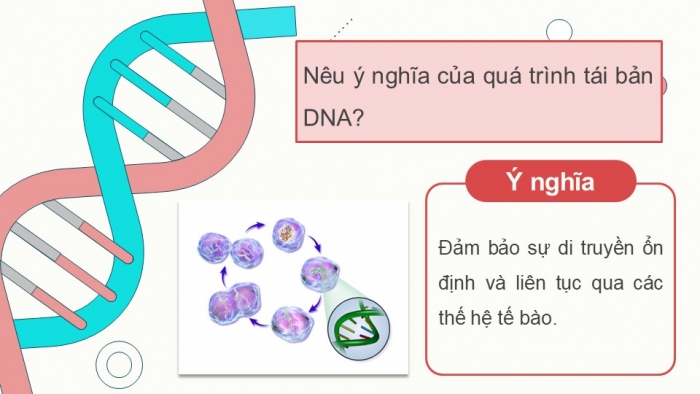 Giáo án điện tử KHTN 9 cánh diều - Phân môn Sinh học Bài 34: Từ gene đến tính trạng