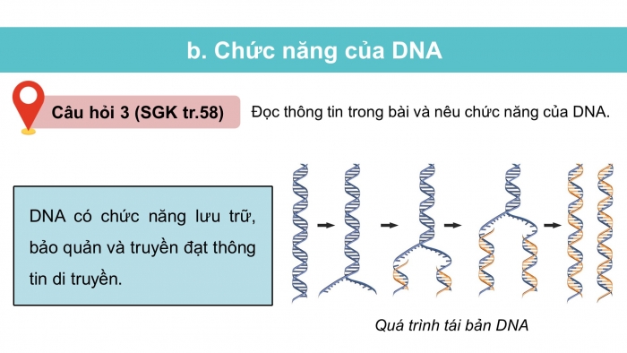 Giáo án điện tử KHTN 9 chân trời - Phân môn Sinh học Bài 37: Nucleic acid và ứng dụng