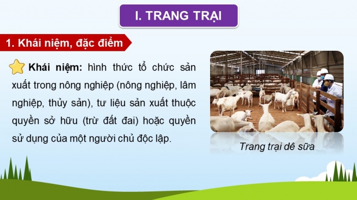 Giáo án và PPT đồng bộ Địa lí 12 kết nối tri thức