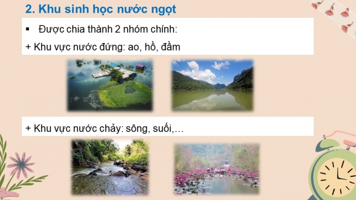 Giáo án và PPT đồng bộ Khoa học tự nhiên 8 kết nối tri thức