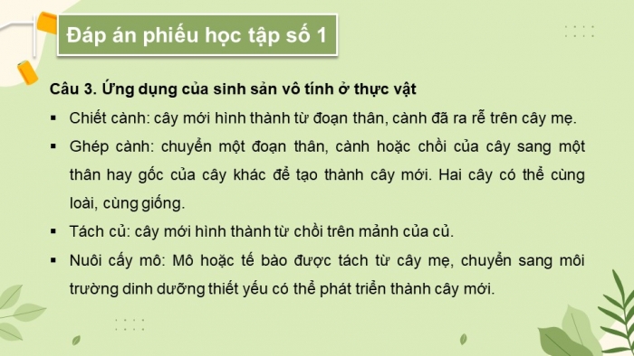 Giáo án và PPT đồng bộ Sinh học 11 cánh diều