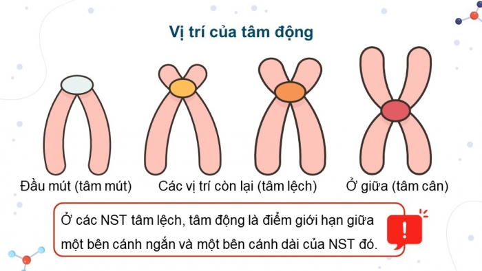 Giáo án và PPT đồng bộ Khoa học tự nhiên 9 kết nối tri thức