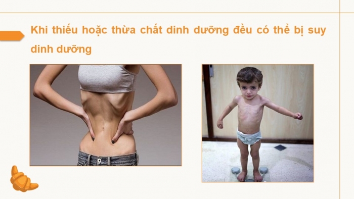 Giáo án điện tử Công nghệ 9 Chế biến thực phẩm Cánh diều Bài 1: Vai trò của các chất dinh dưỡng trong thực phẩm