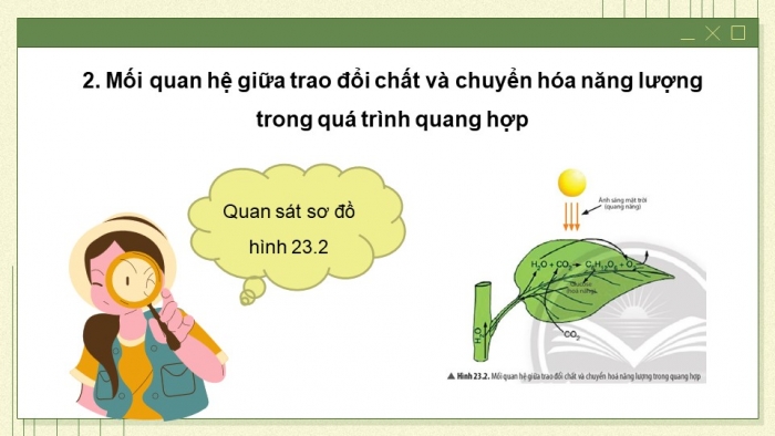 Giáo án và PPT đồng bộ Sinh học 7 chân trời sáng tạo