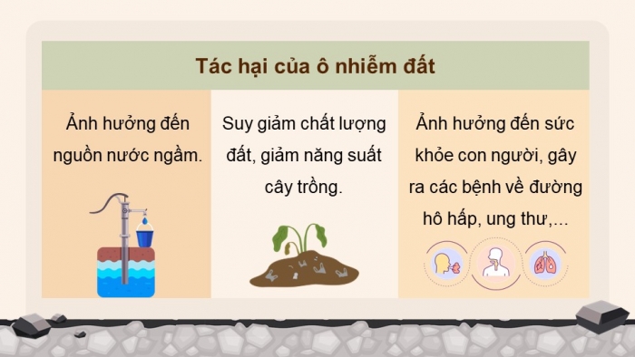 Giáo án và PPT đồng bộ Khoa học 5 kết nối tri thức