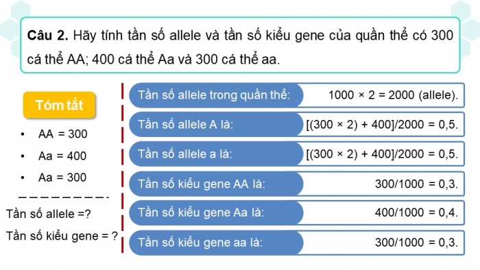 Giáo án và PPT đồng bộ Sinh học 12 kết nối tri thức