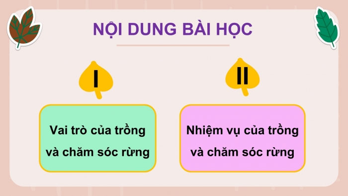 Giáo án và PPT đồng bộ Công nghệ 12 Lâm nghiệp Thuỷ sản Kết nối tri thức