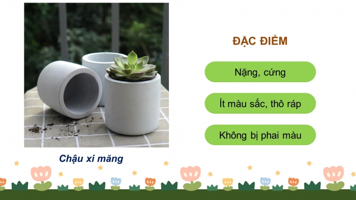 Giáo án và PPT đồng bộ Công nghệ 4 cánh diều