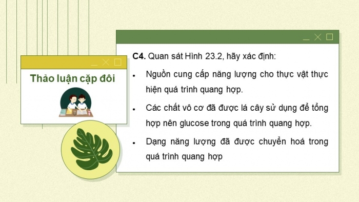 Giáo án và PPT đồng bộ Sinh học 7 chân trời sáng tạo