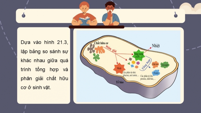 Giáo án và PPT đồng bộ Sinh học 7 cánh diều