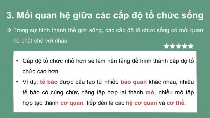 Giáo án và PPT đồng bộ Sinh học 10 chân trời sáng tạo