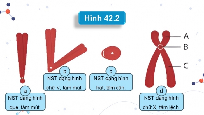 Giáo án và PPT đồng bộ Khoa học tự nhiên 9 kết nối tri thức