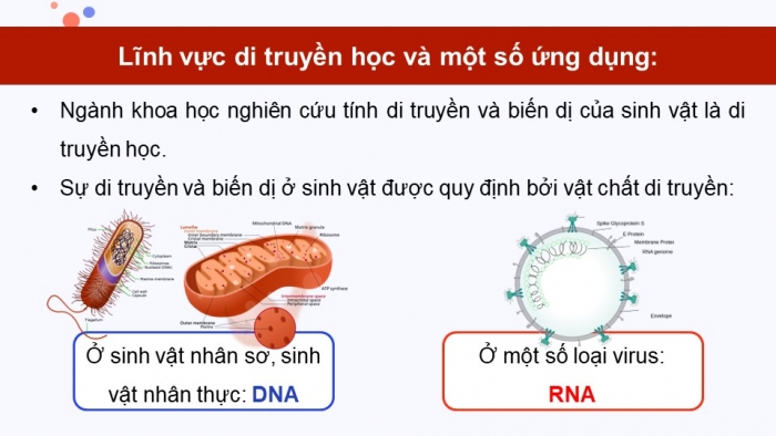 Giáo án và PPT đồng bộ Sinh học 9 cánh diều