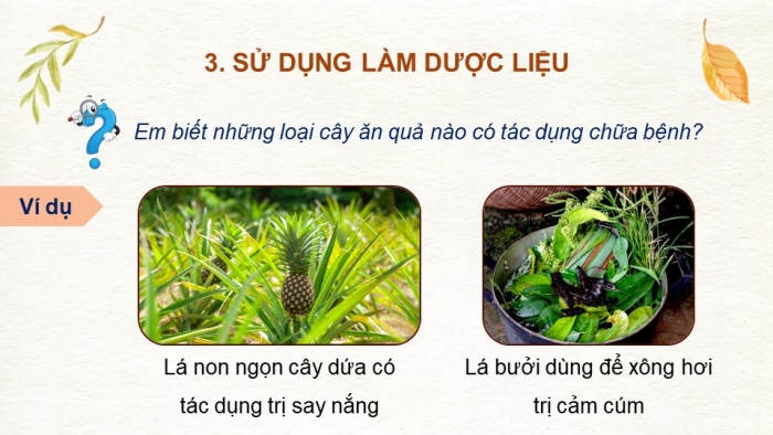 Giáo án và PPT đồng bộ Công nghệ 9 Trồng cây ăn quả Cánh diều