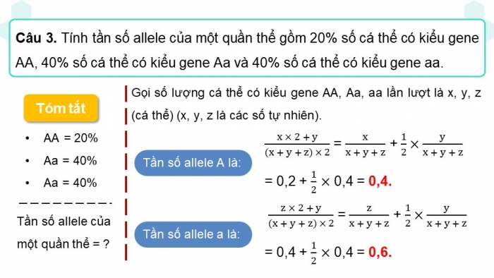 Giáo án và PPT đồng bộ Sinh học 12 kết nối tri thức