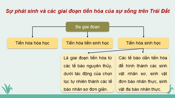 Giáo án và PPT đồng bộ Khoa học tự nhiên 9 chân trời sáng tạo