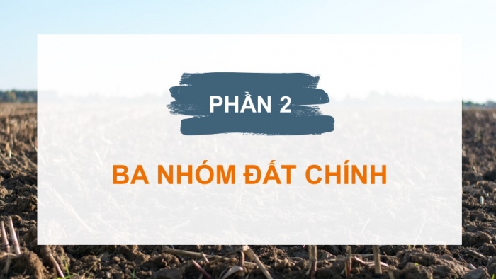 Giáo án và PPT đồng bộ Địa lí 8 kết nối tri thức