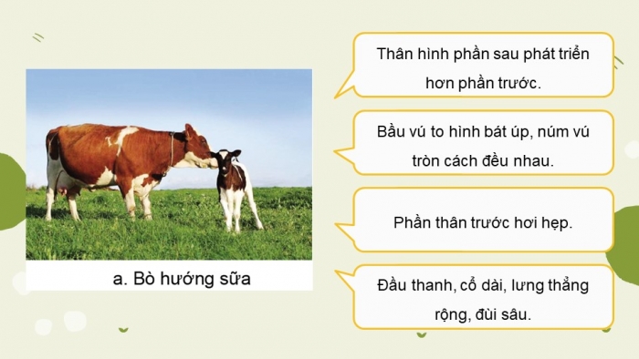 Giáo án và PPT đồng bộ Công nghệ 11 Công nghệ chăn nuôi Cánh diều