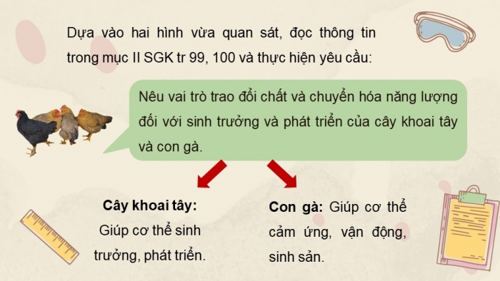 Giáo án và PPT đồng bộ Khoa học tự nhiên 7 kết nối tri thức